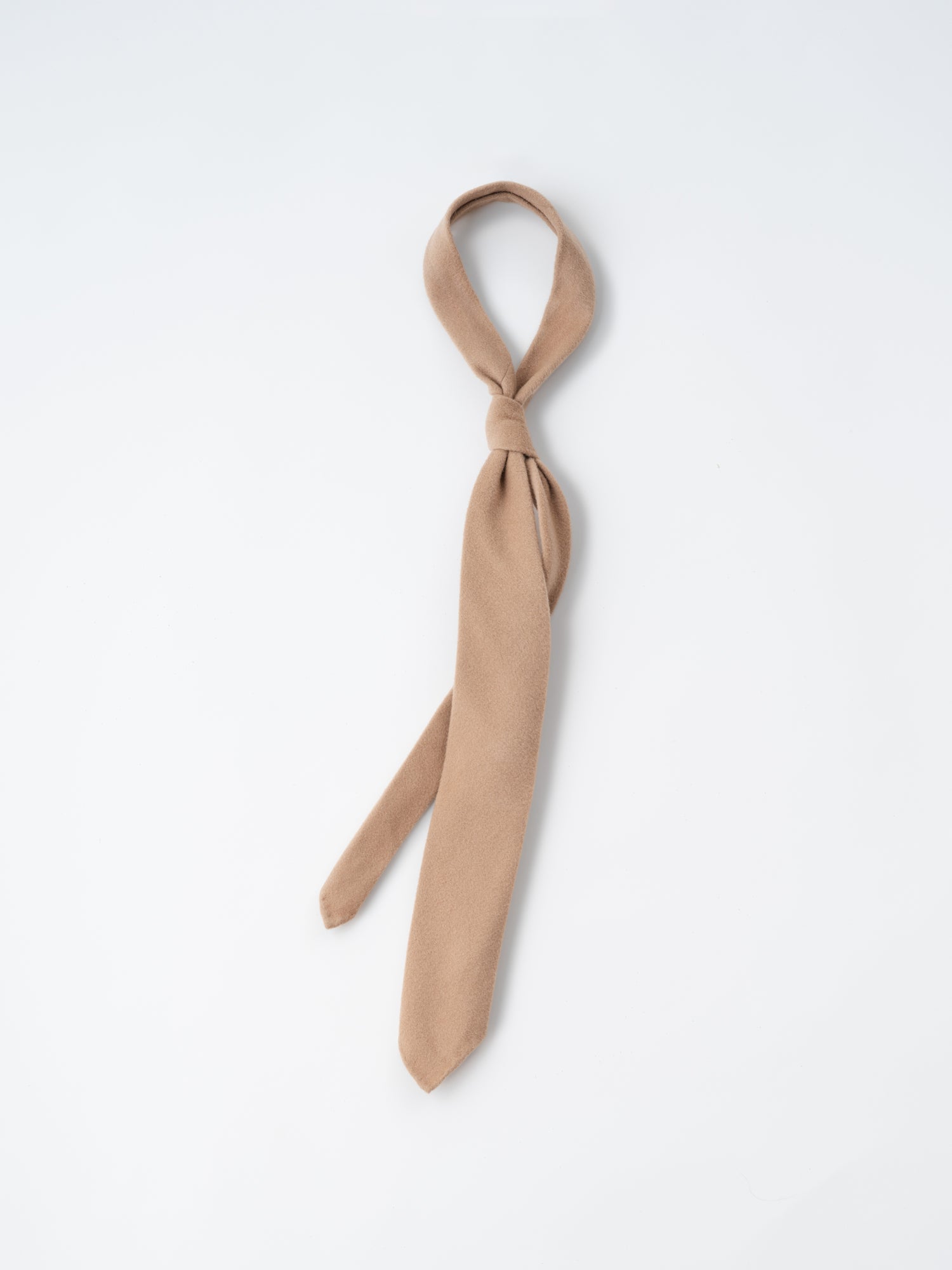 Camel Wool Cashmere Silk Tie