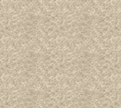 Beige Moleskin Cotton